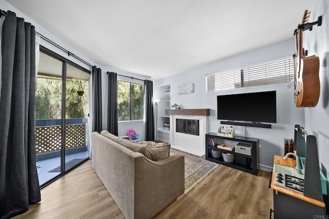 living area featuring a fireplace and wood finished floors