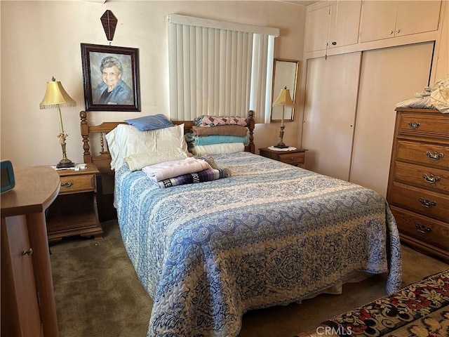 bedroom with a closet and carpet