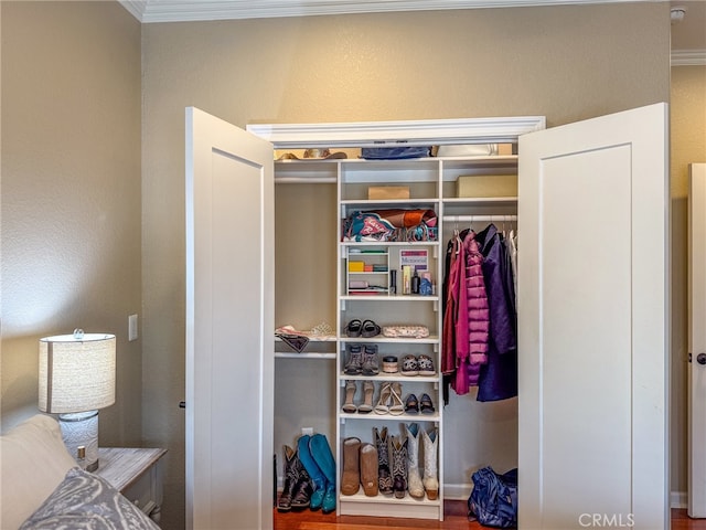 view of closet