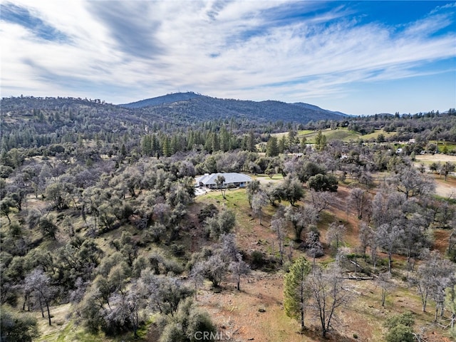 property view of mountains with a forest view