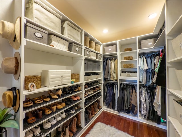 walk in closet featuring wood finished floors