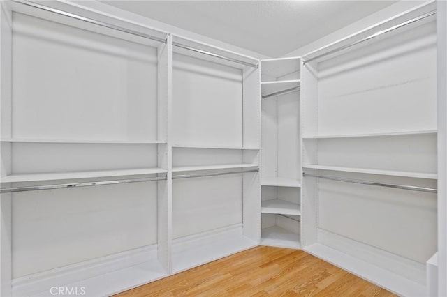 walk in closet featuring light wood-style flooring