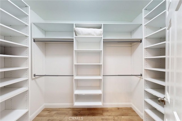 walk in closet featuring wood finished floors