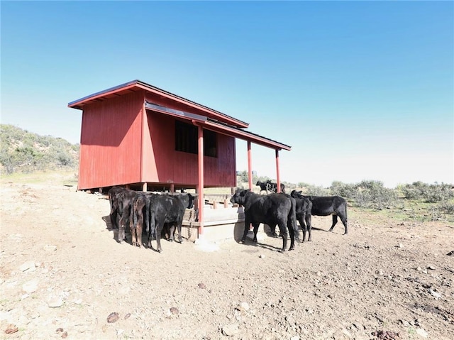 view of horse barn