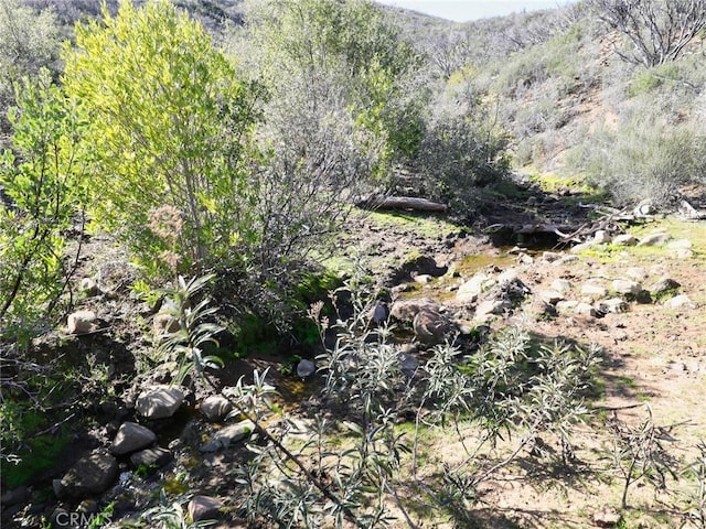 view of landscape featuring a view of trees