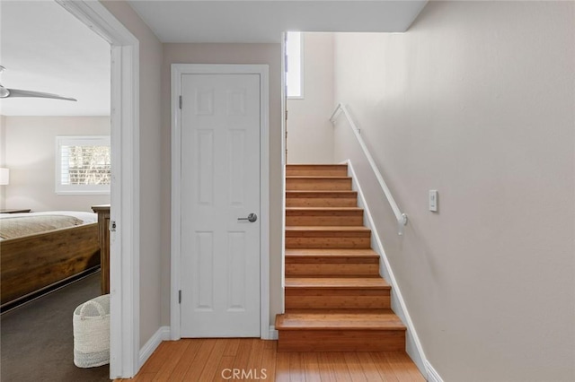 staircase featuring a ceiling fan, baseboards, and hardwood / wood-style floors