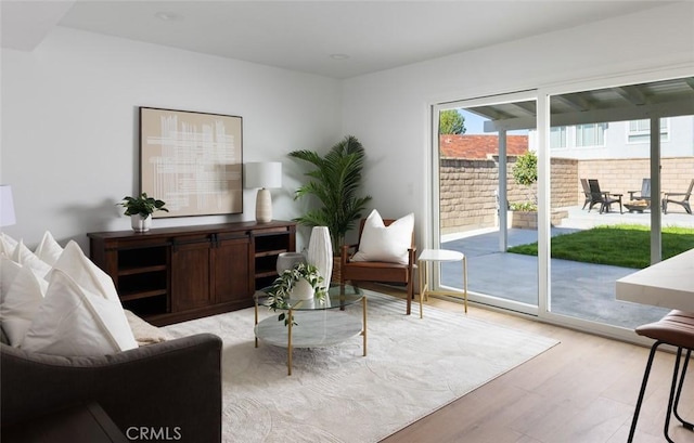 living area featuring light wood finished floors