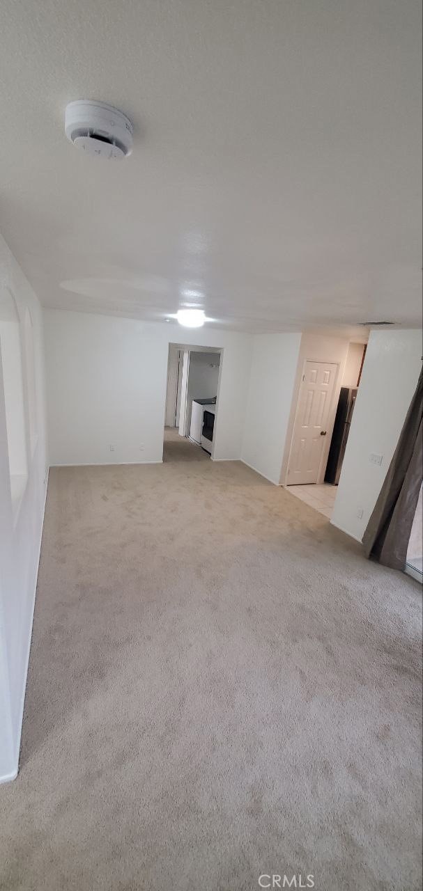 basement with carpet flooring