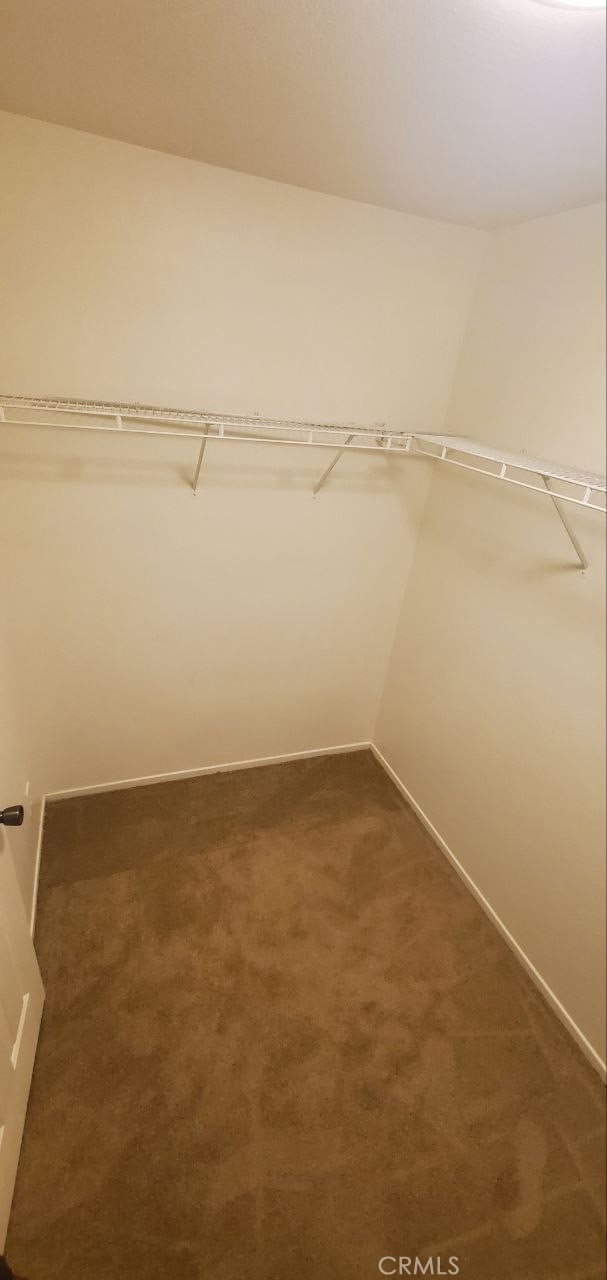 spacious closet featuring dark carpet