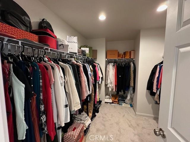 spacious closet with carpet