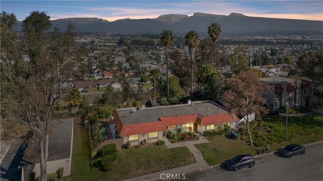 birds eye view of property featuring a mountain view