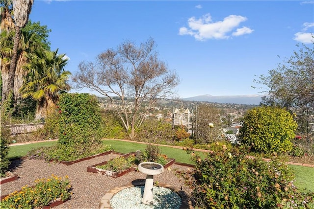 view of yard featuring a garden