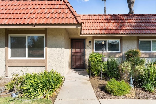 entrance to property with stucco siding