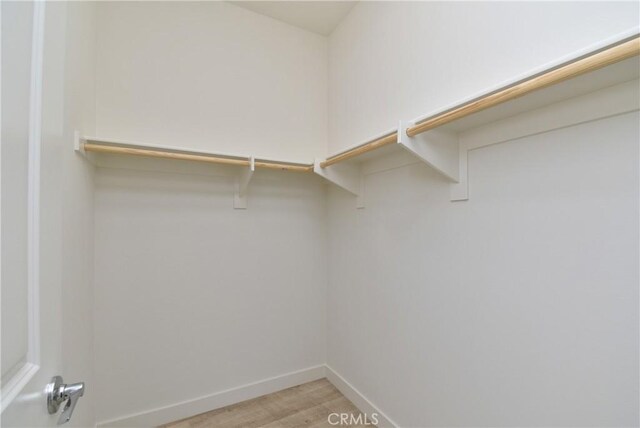 walk in closet with light wood-type flooring