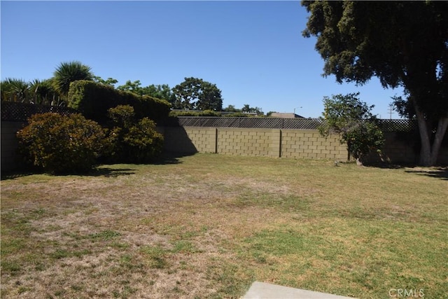 view of yard with a fenced backyard