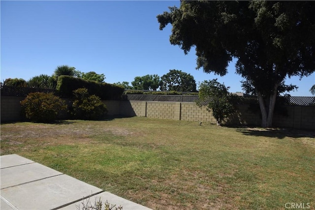 view of yard featuring a fenced backyard