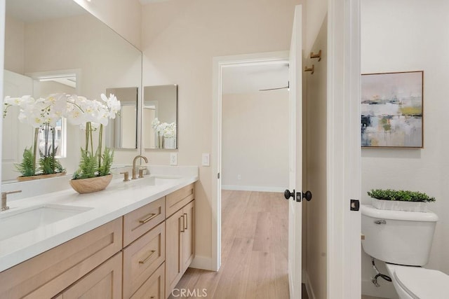 bathroom featuring double vanity, toilet, wood finished floors, and a sink