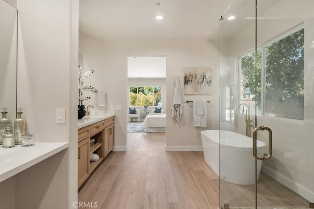 ensuite bathroom featuring ensuite bath, wood finished floors, baseboards, a soaking tub, and vanity