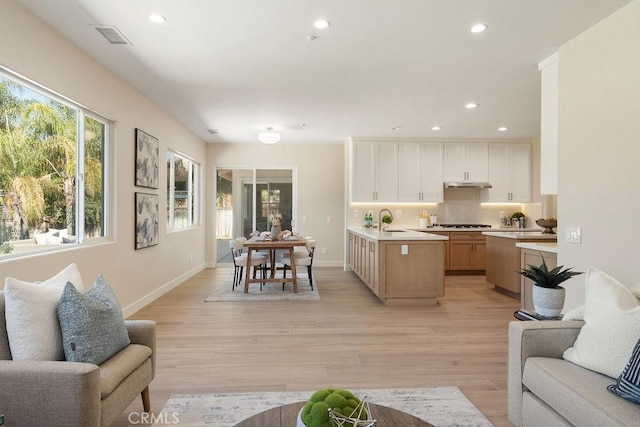 kitchen featuring under cabinet range hood, open floor plan, light wood-type flooring, light countertops, and recessed lighting