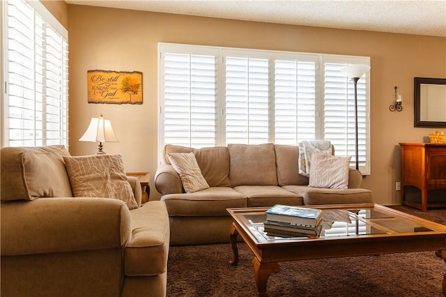 living area with a textured ceiling