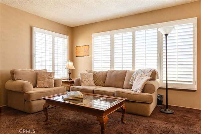 living area with carpet floors and a textured ceiling