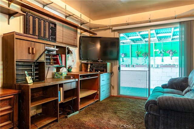 kitchen featuring open shelves and carpet flooring