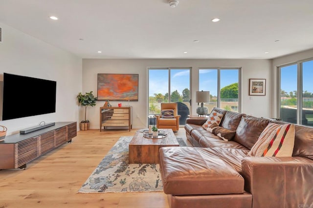 living area featuring baseboards, light wood-type flooring, a wealth of natural light, and recessed lighting