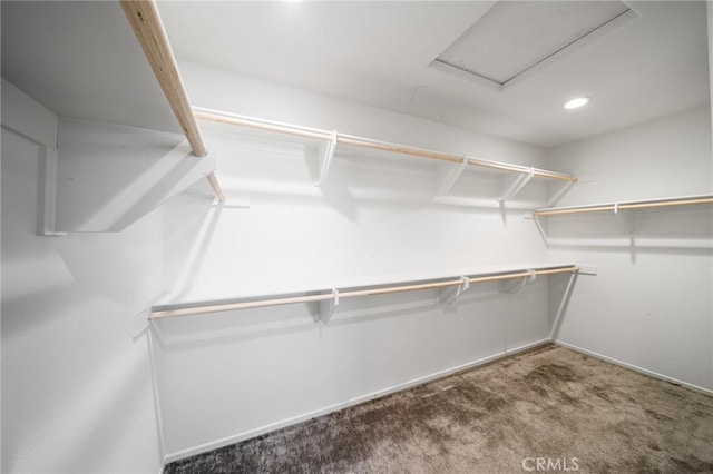 spacious closet featuring carpet and attic access