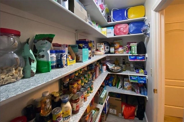 view of pantry