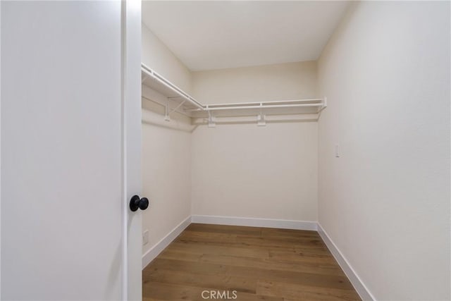 walk in closet featuring wood finished floors