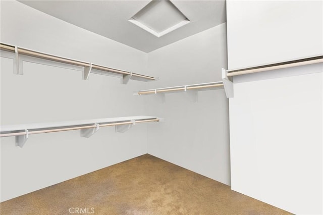 walk in closet featuring carpet flooring and attic access