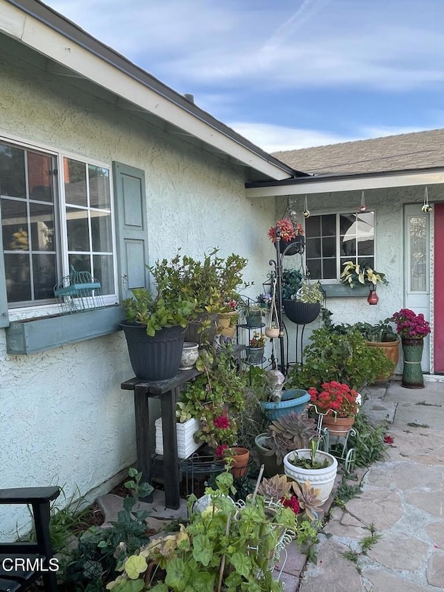 doorway to property with stucco siding