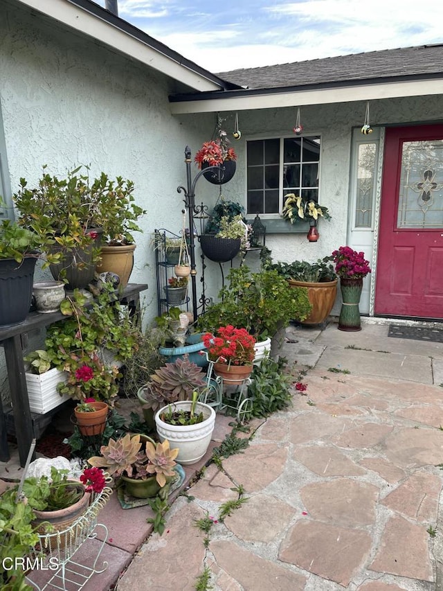 property entrance featuring roof with shingles and stucco siding