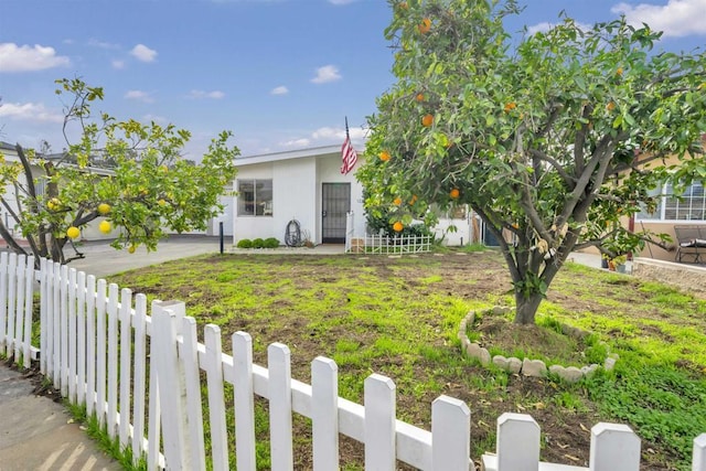 view of yard with a fenced front yard