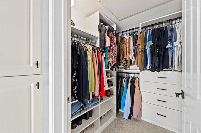 walk in closet featuring carpet floors