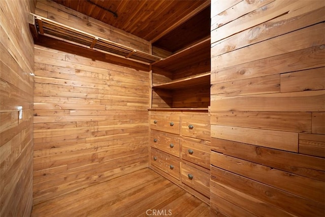 walk in closet featuring wood finished floors