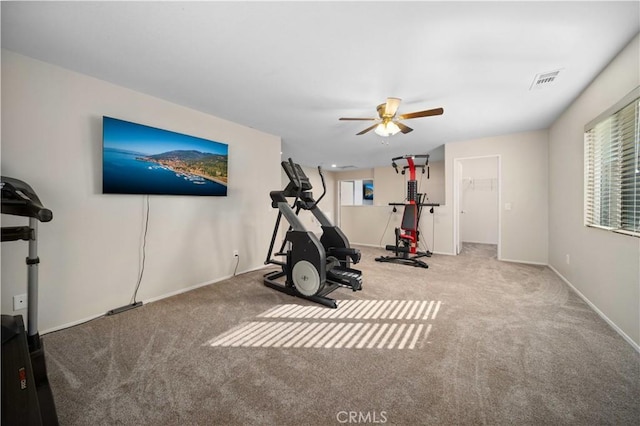 workout room featuring carpet, visible vents, ceiling fan, and baseboards