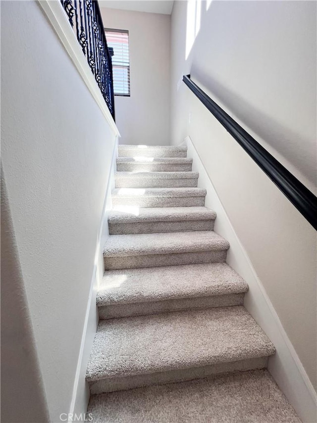 staircase featuring carpet floors