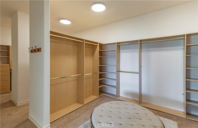 spacious closet with light carpet