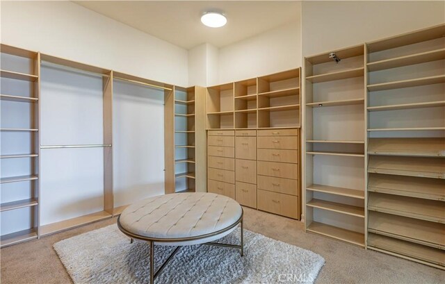 walk in closet featuring carpet floors