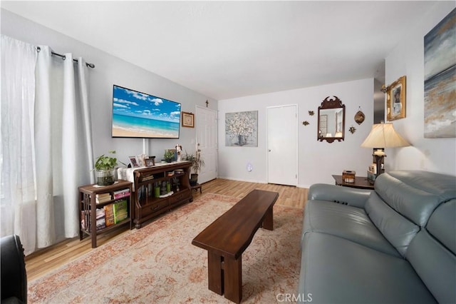 living room featuring wood finished floors