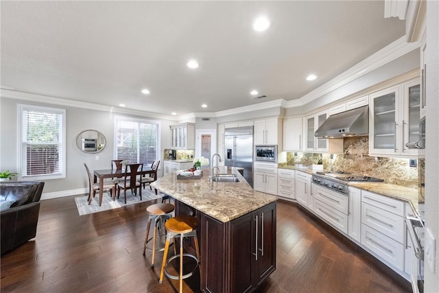 kitchen with dark wood-style flooring, a sink, built in appliances, under cabinet range hood, and tasteful backsplash