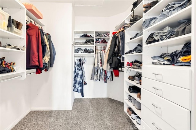 spacious closet with carpet flooring