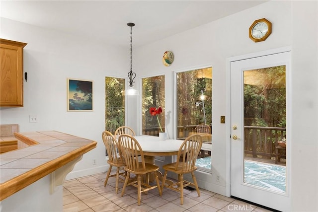 dining room with light tile patterned floors, baseboards, and a healthy amount of sunlight