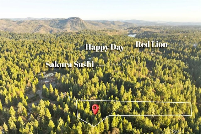 bird's eye view with a mountain view and a view of trees