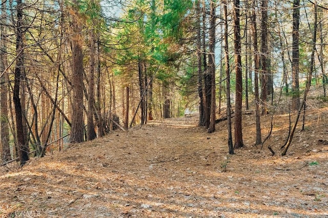 6356 Hidden Lake Ln, Magalia, CA 95954 - view of nature featuring a wooded view
