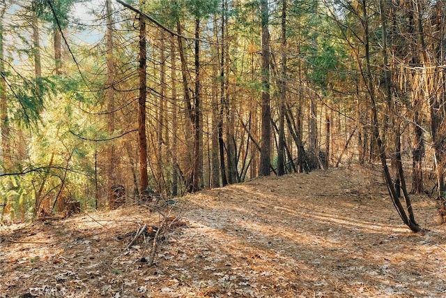 6356 Hidden Lake Ln, Magalia, CA 95954 - view of landscape featuring a view of trees