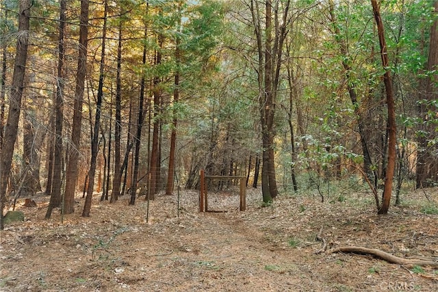 view of landscape featuring a forest view