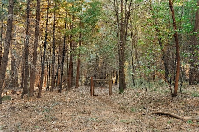 6356 Hidden Lake Ln, Magalia, CA 95954 - view of nature with a view of trees