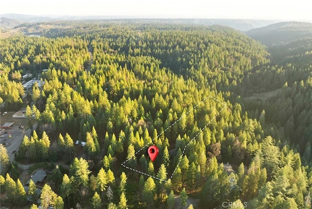 birds eye view of property featuring a view of trees